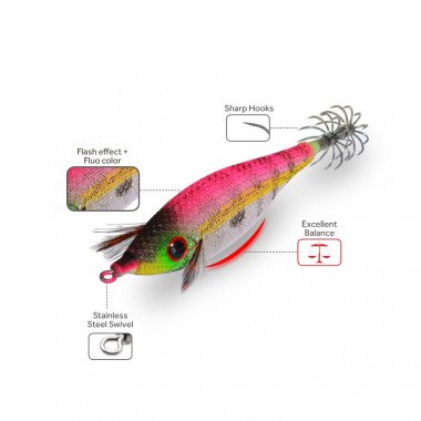 MODELLO DTD PREMIUM PIRKA