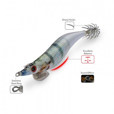 MODÈLE DTD WEAK FISH EGI