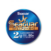 Seaguar Jr Seaguar 50mt - 0,165mm