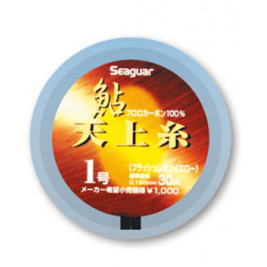Modelo Seaguar Ayu Tenjou Ito