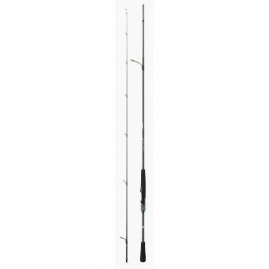 Modelo Caña Daiwa Saltist AGS Rock Fishing