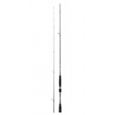 Modelo Caña Daiwa Infeet Rock Fishing