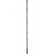 Caña Daiwa Luvias Barre 80 RB