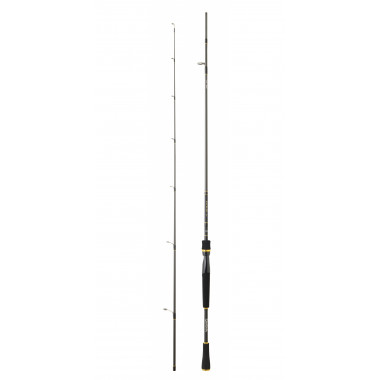 Modelo Caña Daiwa Exceler Spinning
