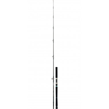 Modelo Cana Daiwa Saltist Spinning