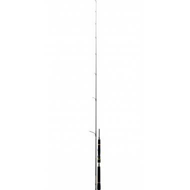 Modelo Caña Daiwa Morethan Branzino AGS