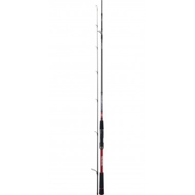 Modelo Caña Daiwa Tournament SW AGS
