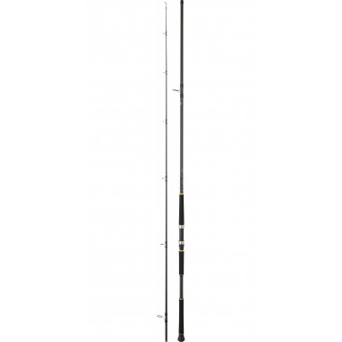 Modelo Caña Daiwa Legalis Shore Jig