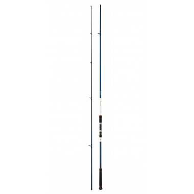 Modelo Caña Daiwa Spitfire Bulle