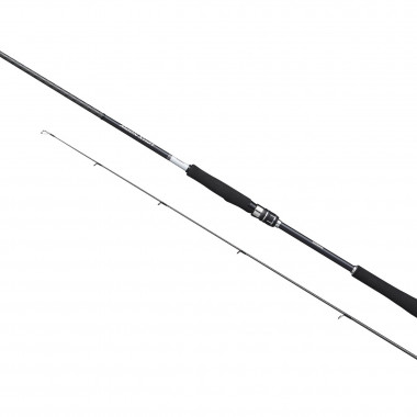 Modelo Caña Shimano Moonshot Spinning Inshore