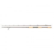 caña_abu_garcia_rod_beast_pro_spinning_1528387_IS.jpg